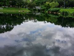 -四海公园(南山区)
