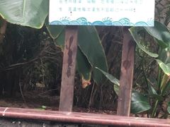 -龙达温泉生态城