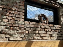 -VOYAGE COFFEE(北锣鼓巷店)