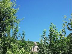 -蒙山大佛景区