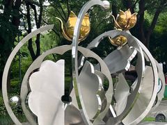 -陈家山荷花公园
