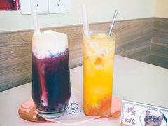 -滚猫咖啡·猫咖·猫友好撸猫(未来城店)