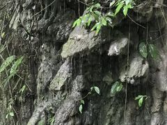 -通灵大峡谷
