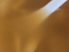 -少林寺欢喜地素斋馆