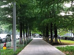-中国（江苏）自由贸易试验区苏州片区一站式服务中心