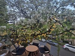 -LAMP BAR 水烟音乐酒吧