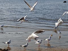 -老虎石海上公园