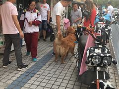 -米熊薯薯 超级糕工厂(富国街店)