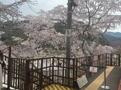 -岚山嵯峨野观光小火车
