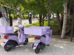 -富田农场