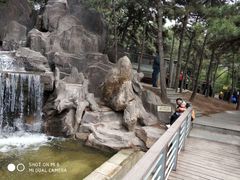 -燕塞湖鸟语林景区