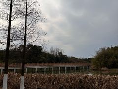 -艾溪湖湿地公园
