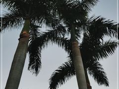 -广州市白云山风景名胜区