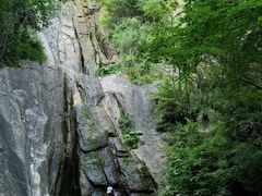 -王顺山国家森林公园