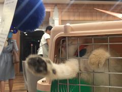 -袖虎·猫馆(体育西路店)