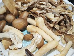 -野菌皇海景野生菌火锅(滨海大道店)