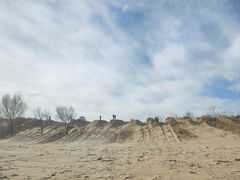 -永定河休闲森林公园