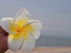 -佟小曼手工茶饼坊(鼓浪屿1店)