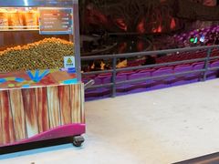 -广州长隆国际大马戏