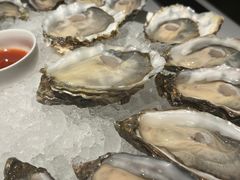 -Oyster Talks 四度蚝法餐厅