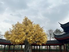 -广东圆玄道观