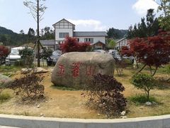 -玉苍山国家森林公园