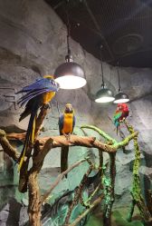 -Zoolung Zoolung动物主题公园(海信广场店)