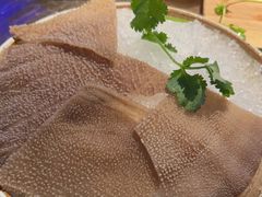 -辣伍鲜毛肚老火锅(元一店)