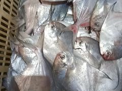 -健眺小海鲜(临海后山店)