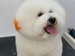 -萌兽医馆·眼科·异宠专科(三里屯店)