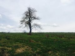 -硗碛藏寨·神木垒景区