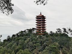 -缙云山景区