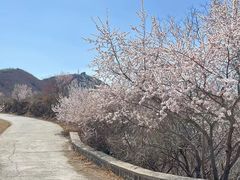 -香山公园