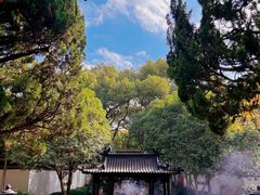-秋霞圃