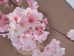 -静安雕塑公园