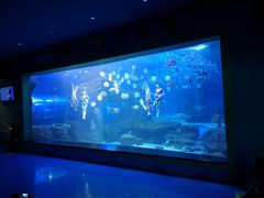 -多彩贵州城极地海洋世界