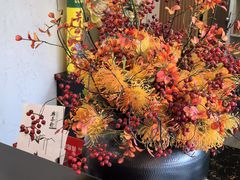 -泰山廊亦舫(丽景店)