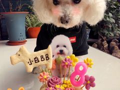 -瑞鹏瑞爱宠物医院·全科·猫科·血液透析中心(龙头寺店)