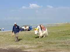 -青海湖国家重点风景名胜区