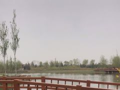 -张家湾公园