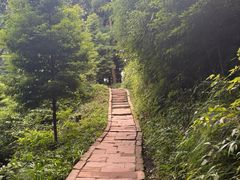 -青城山