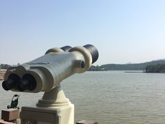 -美的鹭湖森林度假区