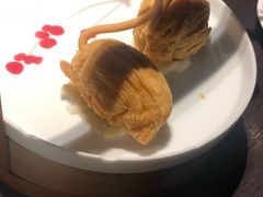 -MR鹅外