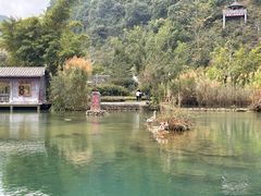 -靖西鹅泉风景区