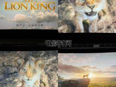 -中影佰纳国际影城DMAX(花都广百广场店)