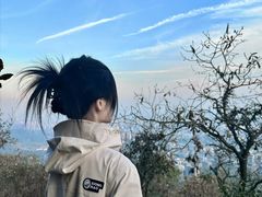 -杭州半山国家森林公园