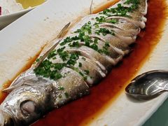 -雅苑中餐厅