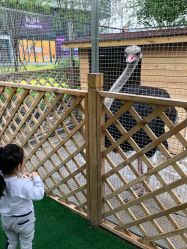 -萌宠亲子动物乐园(槐房万达店)