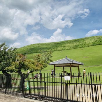 奈良公园不用多说也知道特产是“鹿”呀,做JR从大阪港