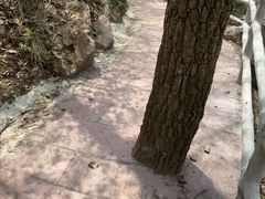 -明堂山风景区
